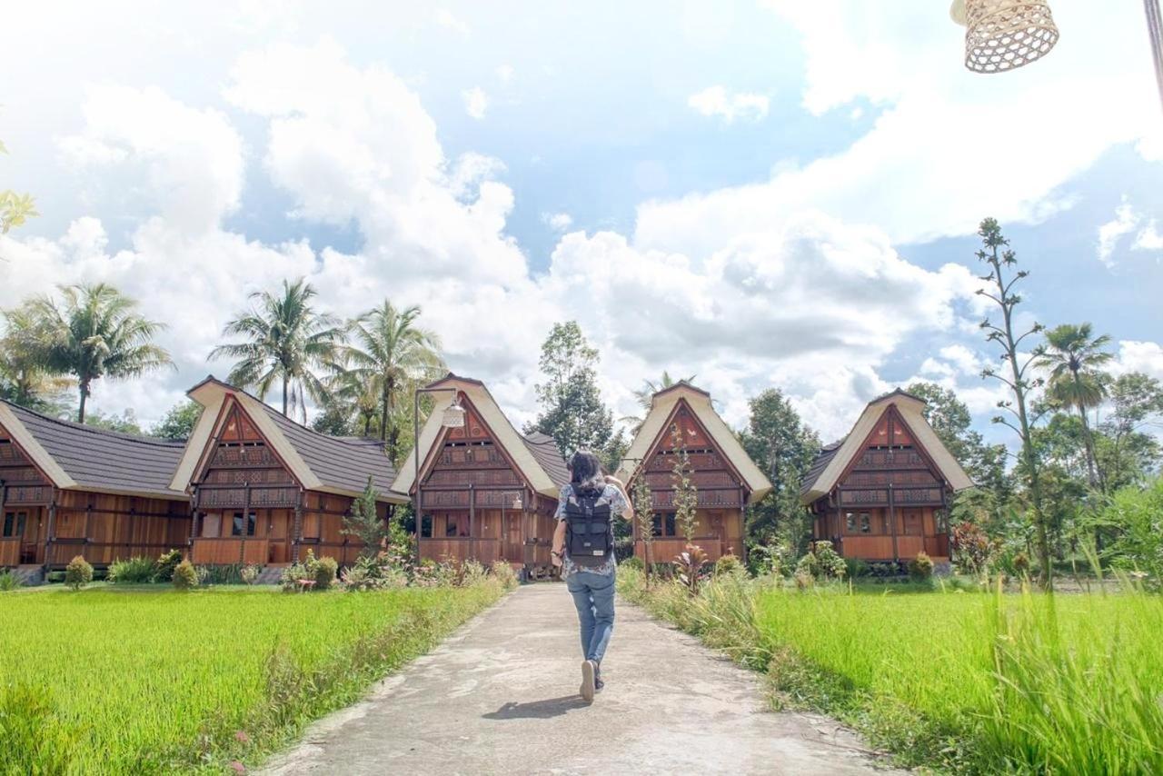 Toraja Misiliana Hotel Rantepao Exterior photo