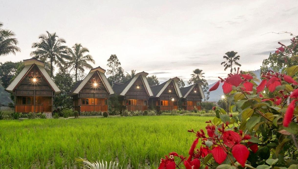 Toraja Misiliana Hotel Rantepao Exterior photo