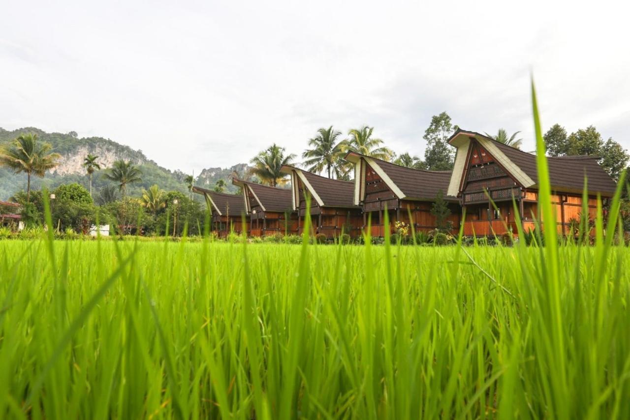 Toraja Misiliana Hotel Rantepao Exterior photo