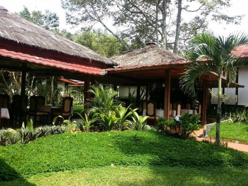 Toraja Misiliana Hotel Rantepao Exterior photo